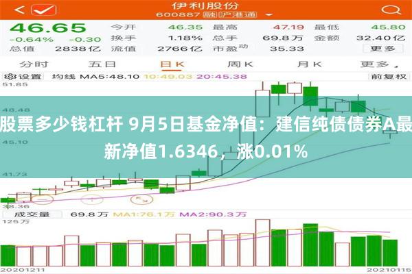 股票多少钱杠杆 9月5日基金净值：建信纯债债券A最新净值1.6346，涨0.01%