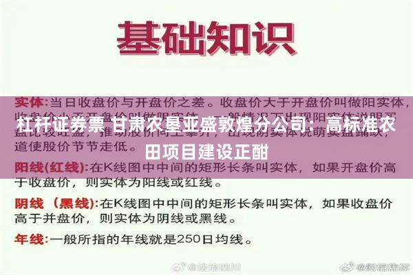 杠杆证券票 甘肃农垦亚盛敦煌分公司：高标准农田项目建设正酣